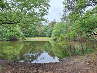 Heerlijk boshuisje Bosnest De Vink met privetuin nabij Veluwepark - 5