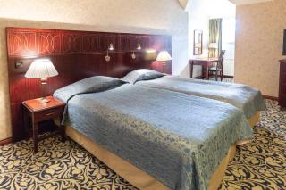 Scandic Imatran Valtionhotelli - Imatra - 6