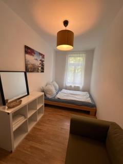 Moderne Citynahe Wohnung mit Parkmöglichkeiten - Chemnitz - 6