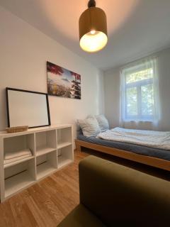 Moderne Citynahe Wohnung mit Parkmöglichkeiten - Chemnitz - 3