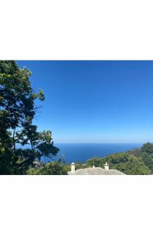 The Forest Sea View House - Xourichti-Tsagkarada Pilio - Tsagkarada - 4
