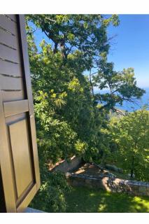 The Forest Sea View House - Xourichti-Tsagkarada Pilio - Tsagkarada - 5