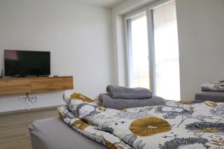 Apartmán Wellness-Detva - Detva - 8