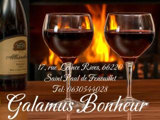 Galamus Bonheur ! 2-3 jours si vous restez, le prix est bien baissé ! - 9