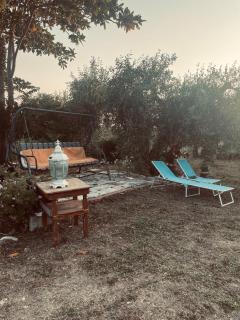 The land of the olive tree - Nikópolis - 7