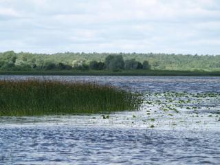 Atpūtas namiņš - 7