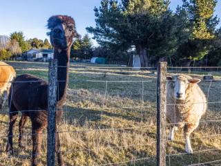 Taylor Lodge Adventure Base - Erua Holiday Home - Erua - 8