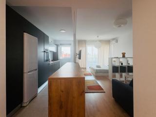 Zen 5 Studio in Stefan cel Mare - 5