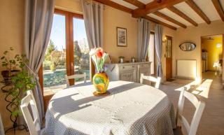 Les colchiques - Racines - 9