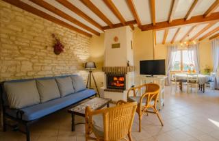 Les colchiques - Racines - 6