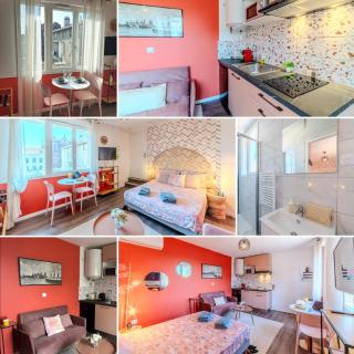 Rose Roanne centre-ville - Parking & Clim - 9