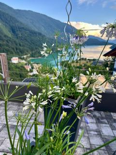 Hotel Aurora - Molveno - 9