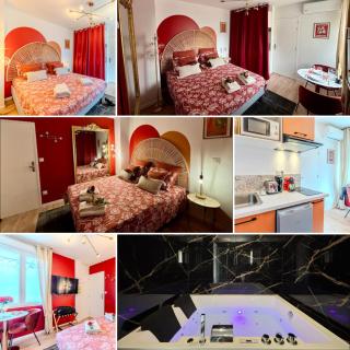 Prestige Jacuzzi & Clim, parking - Roanne centre-ville - Roanne - 9