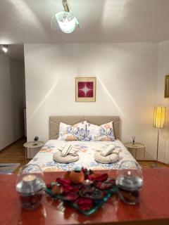 Cozy Spot Apartment - Mostar - 9