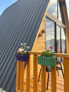 Cozy Home Buknari - 9