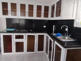 Apartment with 2 bedrooms and 2 beds - San Felipe de Puerto Plata - 6