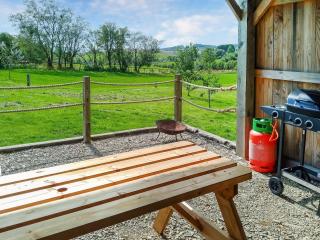 The Owl Pod - Uk50070 - Welshpool - 6