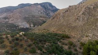 F & A Family Home - Zaros - 9