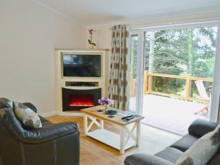 Ash Lodge - Clatworthy - 9