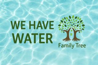 Family Tree - WATER Available - SELF check in - Golem - 9