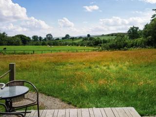 The Hedgehog Pod - Uk50067 - Welshpool - 4