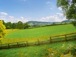 Shippen - Uk50078 - Sidmouth - 1