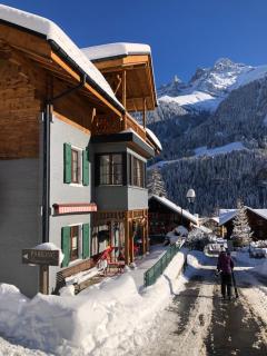 Chalet Eden 4 Story Family Chalet - Champéry - 1
