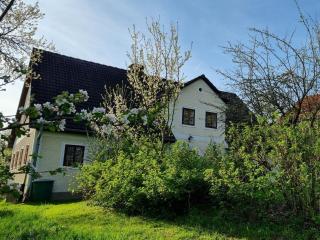 Naturparadies am Sonntagberg - 1