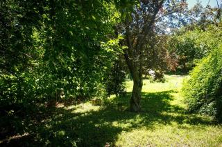 Apartamento por día Cuesta Blanca - 4