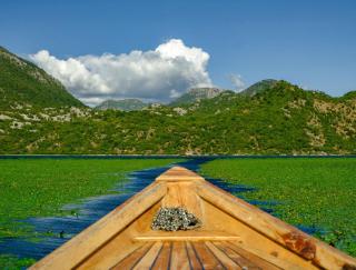 Apartman Skadarsko jezero bay - Vranjina - 8