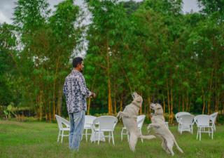 Clover Holiday Village Coorg Resort by VOYE HOMES - Madikeri - 7