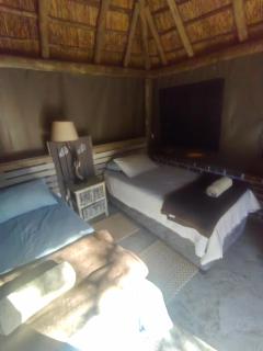 Aloe Bush Game Lodge - Marble Hall - 9