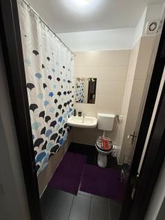 Flat for rent in Cluj-Napoca - Cluj-Napoca - 3