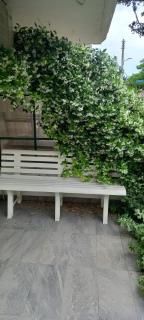 Maria's Garden - Atene - 7