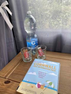 Quiet peaceful relaxing off grid Campervan Seaview and Ponies - Carbis Bay - 6