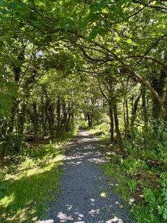 Luxury home in Oranmore - Balnacart - 6