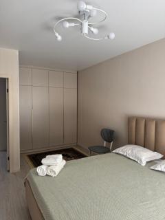Просторная однокомнатная квартира ЖК Alem City - Almaty - 9