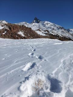 X Champagnat - La Porteña - 7