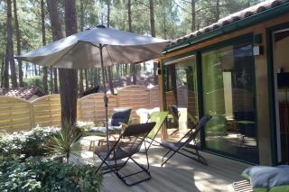 Maison, Piscine sous les pins - Moliets-et-Maa - 0
