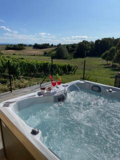 Country House Pais - Relax in jacuzzi tra i vigneti - Quargnento - 0