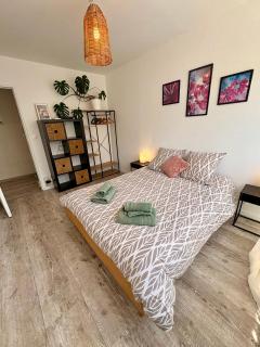 Appartement Rouen centre proche CHU - Rouen - 4