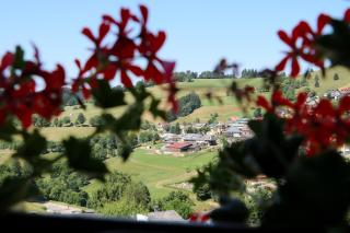 Ferienwohnung Kehrwieder Nr 3, Todtnauberg, Todtnau - Ennerbach - 5