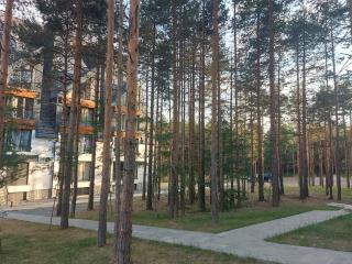 Apartman PANORAMA Green Hills Divčibare - Divčibare - 9