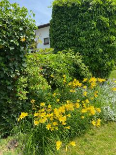 Ferienhaus Greti - Ehrwald - 6