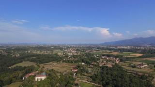 La coccinella gialla - Lucca - 8