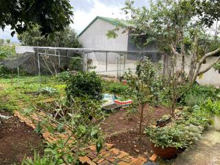 Bee Home Di Linh - 6