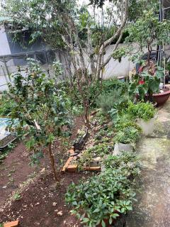 Bee Home Di Linh - Di Linh - 2