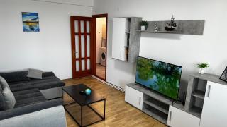 DanubeView Apartment Tulcea - Tulcea - 8