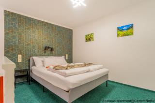 Spacious Stay Apartments - 4