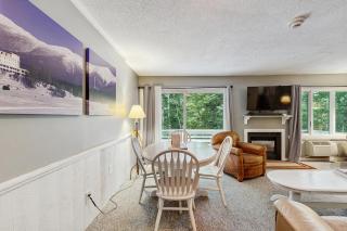 Snowcone - Bartlett - 4